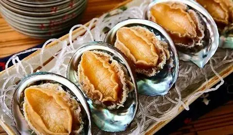 Hình ảnh Bào ngư