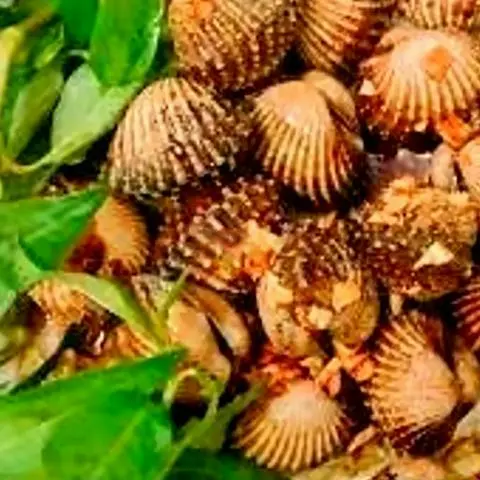 Hình ảnh Sò huyết xào bơ