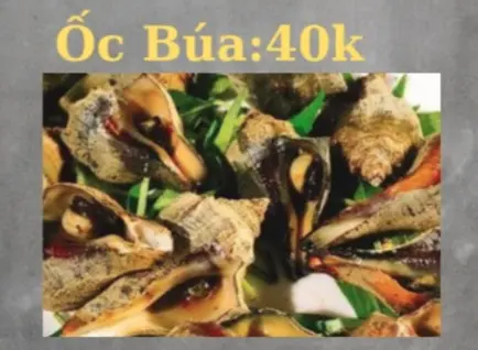 Hình ảnh Ốc búa
