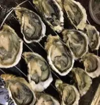 Hình ảnh Hàu nướng mọi