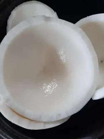 Hình ảnh Cơm dừa
