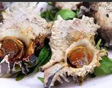 Hình ảnh Ốc gai nướng mắm