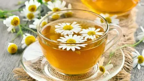 Hình ảnh Trà hoa cúc