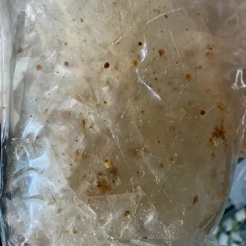 Hình ảnh Bánh tráng tỏi