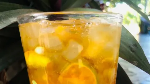 Hình ảnh Hồng trà nha đam hạt chia