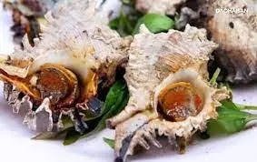 Hình ảnh Ốc gai nướng mắm