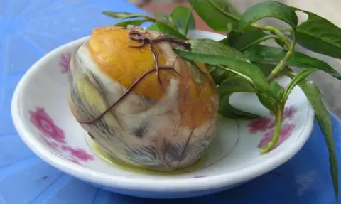 Hình ảnh Hột vịt lộn