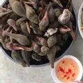 Hình ảnh Ốc búa hấp sả