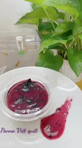 Hình ảnh Panna cotta việt quất