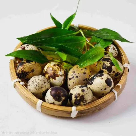 Hình ảnh Cút lộn luộc (10 quả)