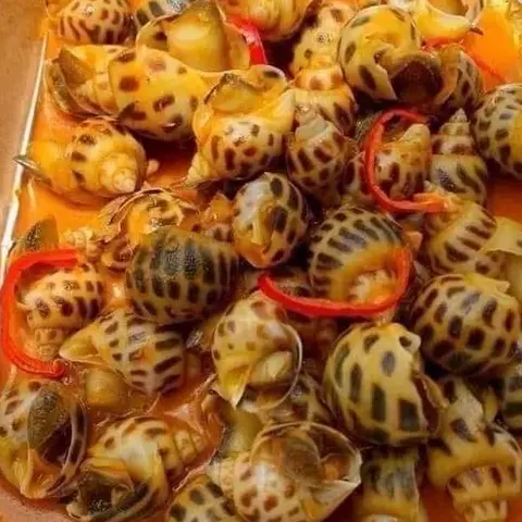 Hình ảnh Ốc hương hấp thái