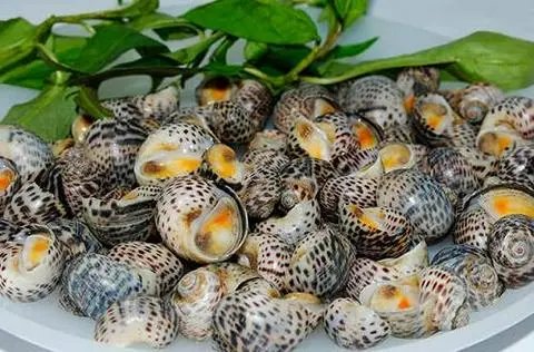 Hình ảnh Ốc bông nướng mọi