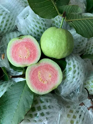 Hình ảnh Ổi cắt sẵn - 500gr