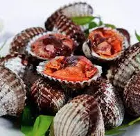 Hình ảnh Sò huyết nướng mọi