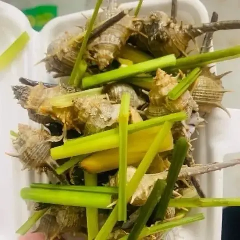 Hình ảnh Ốc gai hấp sả