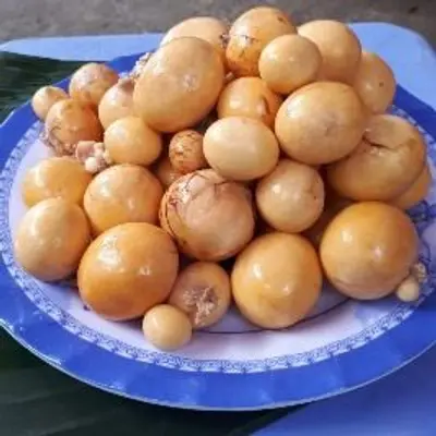 Hình ảnh Trứng non