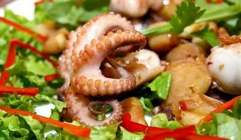 Hình ảnh Bạch tuộc