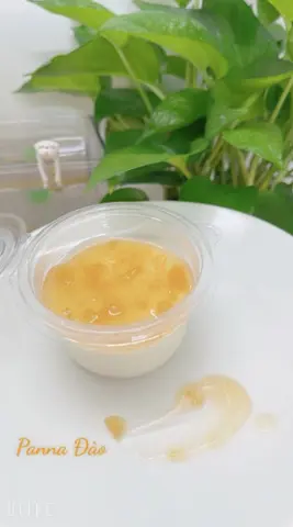 Hình ảnh Panna cotta đào