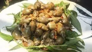 Hình ảnh Ốc cà na xào bơ tỏi