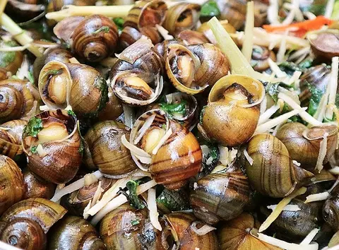 Hình ảnh Ốc bươu hấp sả