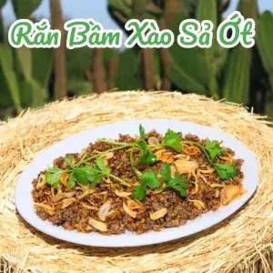 Hình ảnh Rắn bằm xào sả ớt xúc bánh tráng