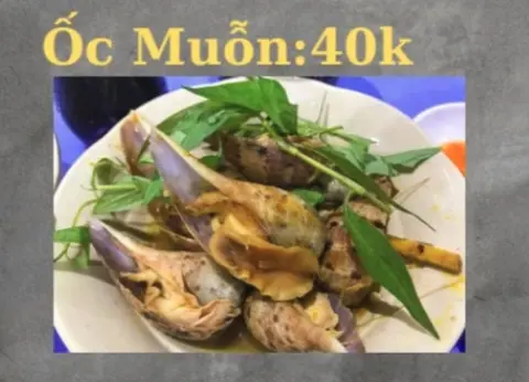 Hình ảnh Ốc muỗn