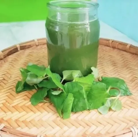 Hình ảnh Nước ép diếp cá - dừa