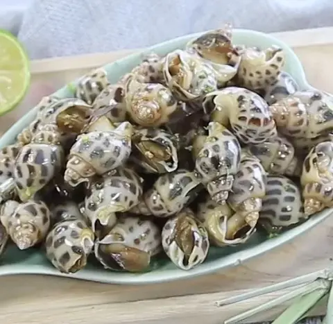 Hình ảnh Ốc hương nướng mọi
