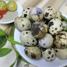 Hình ảnh Cút lộn