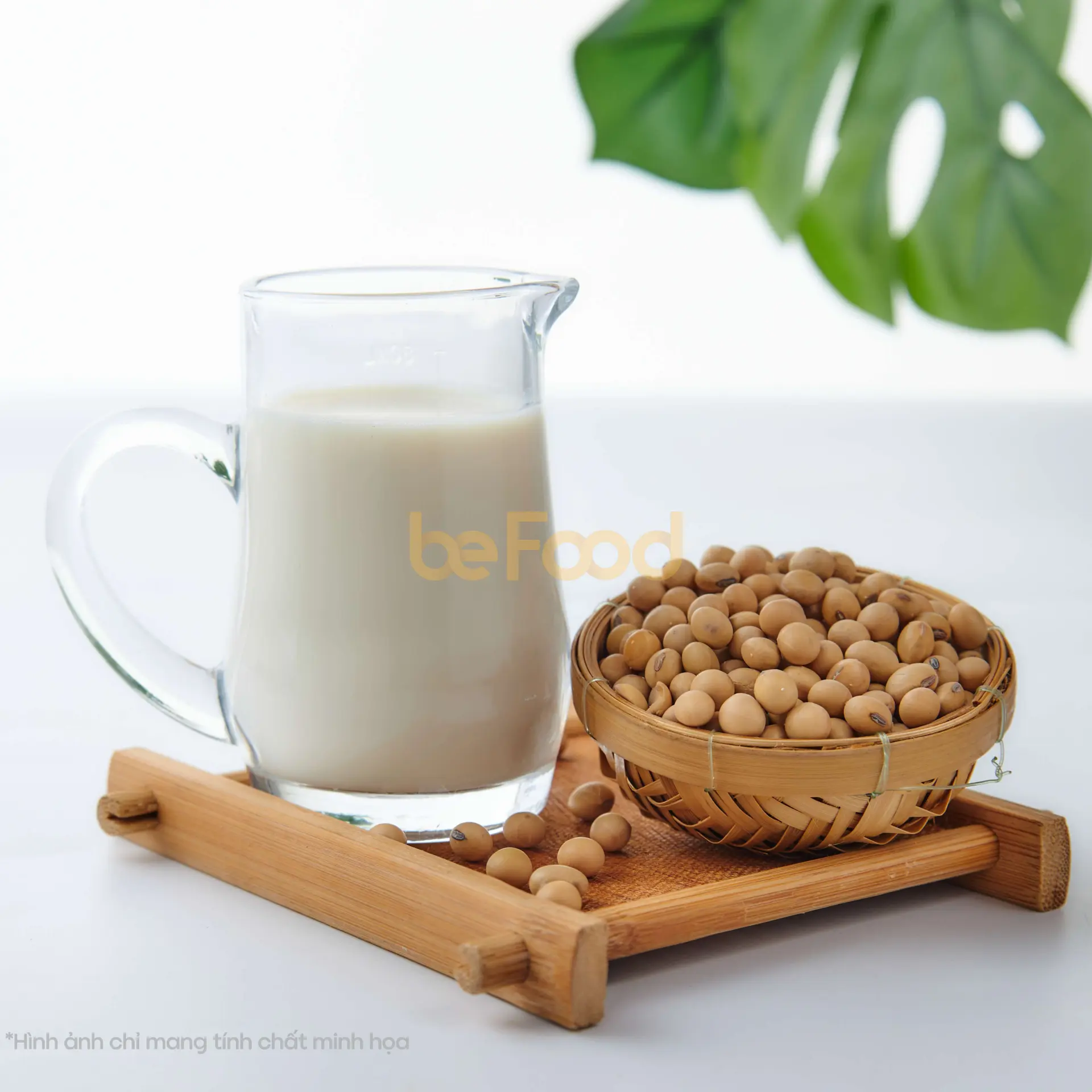 Hình ảnh Sữa Đậu Nành