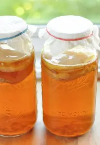 Hình ảnh Trà kombucha vị thơm