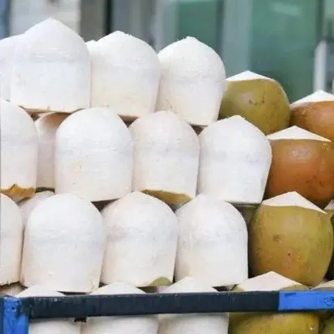 Hình ảnh Dừa xiêm mã lai ướp lạnh