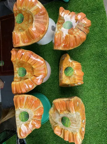 Hình ảnh Mít đỏ Indonesia miếng 1kg