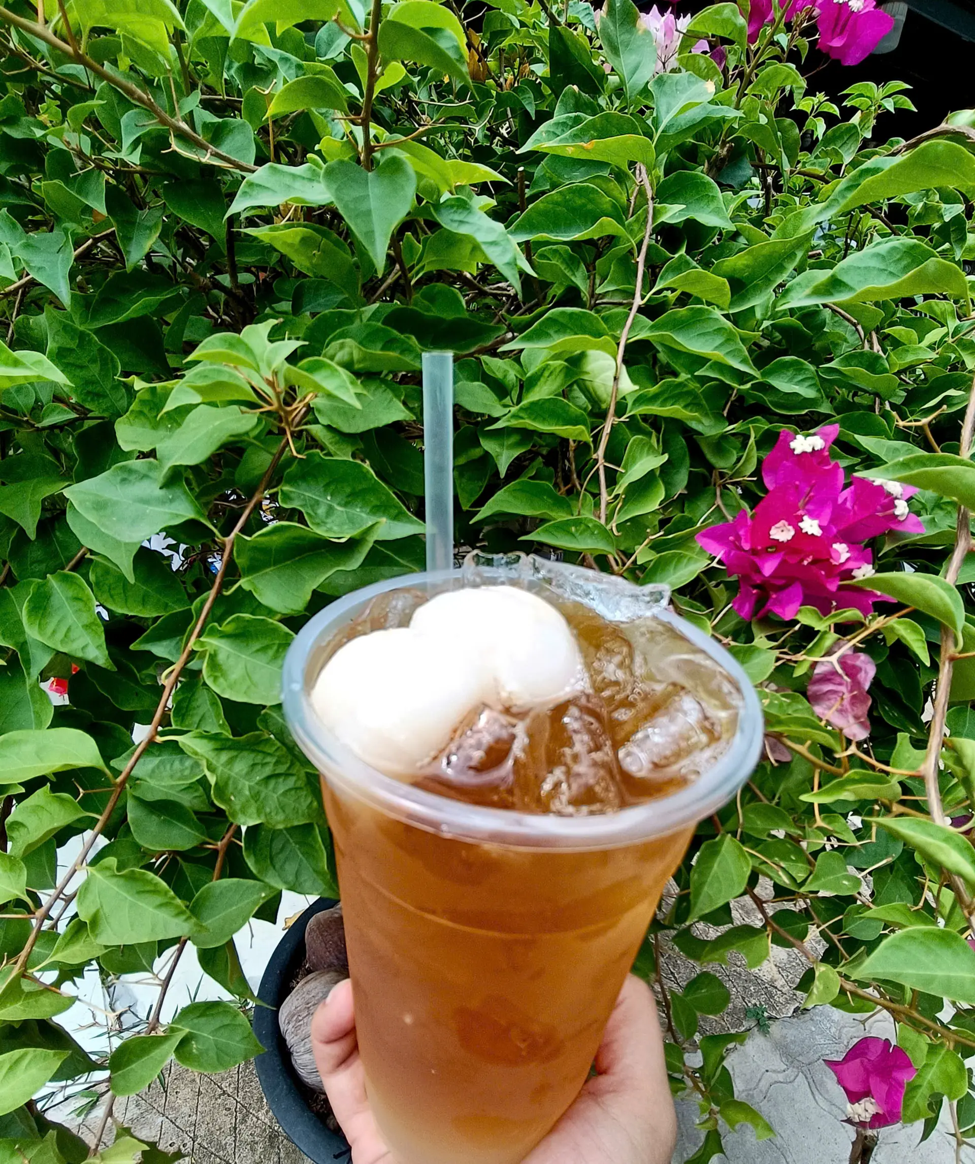 Hình ảnh Trà vải
