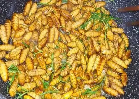 Hình ảnh Cơm nhộng xào