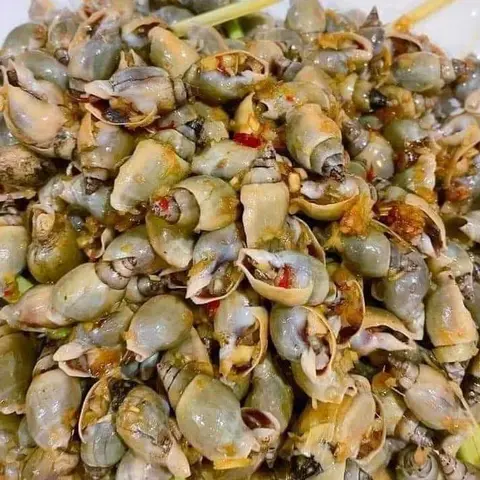 Hình ảnh Ốc cà na rang muối