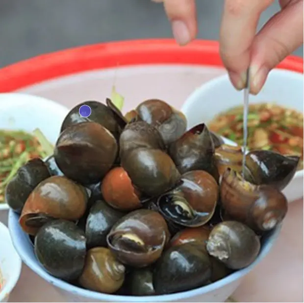 Hình ảnh Ốc bươu hấp sả