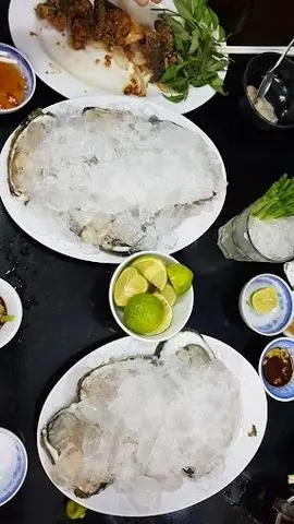 Hình ảnh Hàu sống