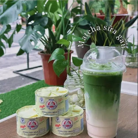 Hình ảnh Matcha sữa gấu