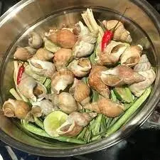 Hình ảnh Ốc bulot pháp hấp sả