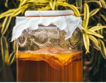 Hình ảnh Trà kombucha vị táo
