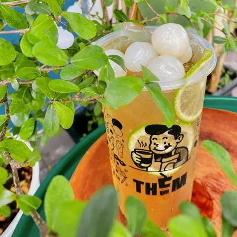Hình ảnh Trà Vải