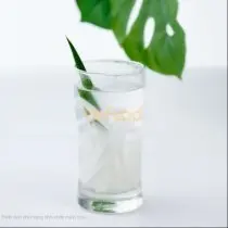 Hình ảnh Dừa tươi