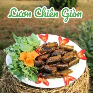 Hình ảnh Lươn chiên giòn