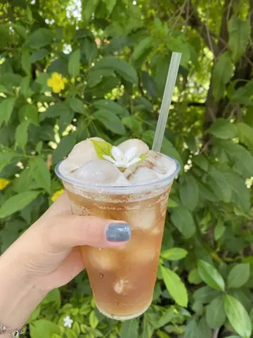 Hình ảnh Trà vải