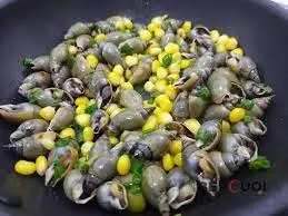 Hình ảnh Ốc cà na xào bơ bắp