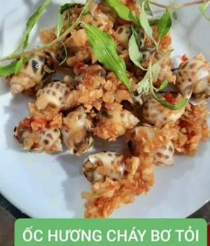 Hình ảnh Ốc hương