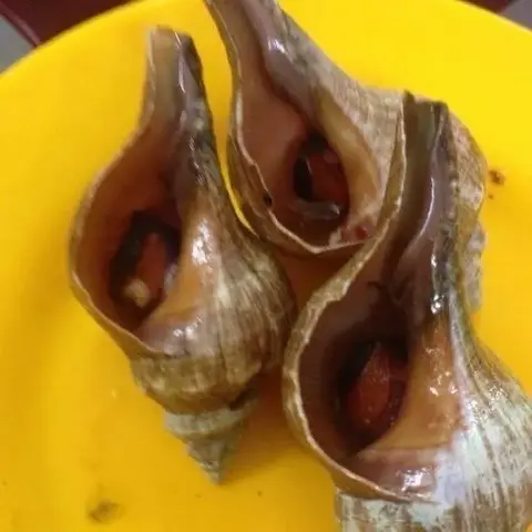 Hình ảnh Ốc đỏ hấp sả