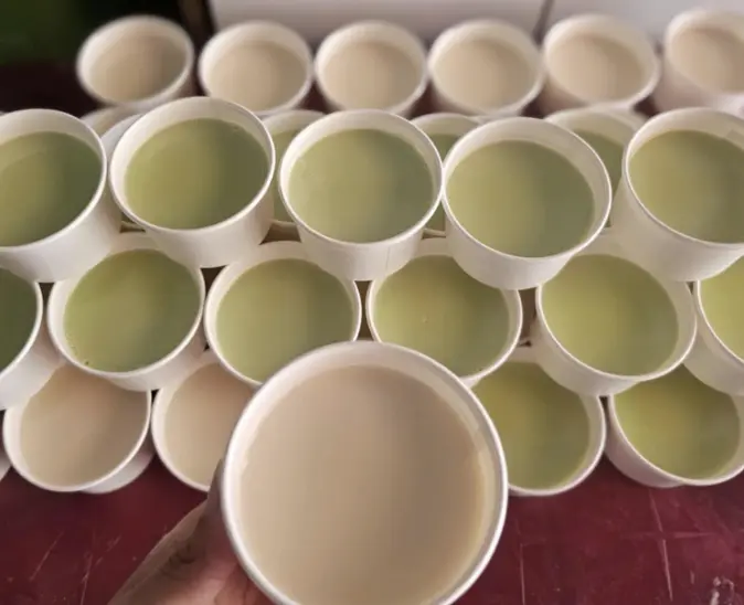 Hình ảnh Đậu hũ Sing - Hủ to 200ml