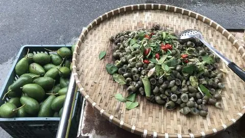 Hình ảnh Gạo hấp